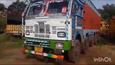 गुना नगर: भुल्लनपुरा चौराहे से कोतवाली पुलिस ने पशुओं का अवैध परिवहन करते ट्रक को पकड़ा, 20 लाख रुपए की 44 भैंसों को कराया मुक्त