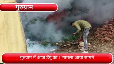 पटौदी: गुरुग्राम में आज डेंगू का एक मामला आया सामने, अब तक 65 मामले आ चुके हैं सामने