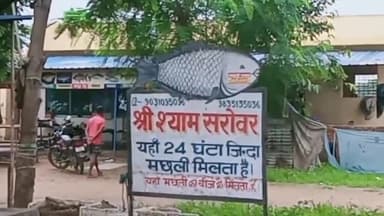 मांडू: अज्ञात वाहन की चपेट में आने से श्रीराम चौक कुजू फोरलेन श्याम सरोवर तालाब के समीप युवक की मौत, युवक की नहीं हुई शिनाख्त