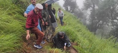 जलोग: बढ़ई पंचायत में पौधारोपण कार्यक्रम का आयोजन, पर्यावरण संरक्षण की ली शपथ