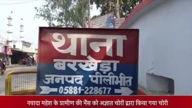 बीसलपुर: नवादा महेश गांव के ग्रामीण की भैंस को अज्ञात चोरों द्वारा किया गया चोरी ग्रामीण की तहरीर पर पुलिस ने किया मुकदमा दर्ज