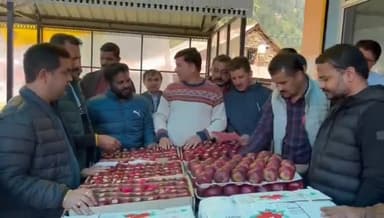 कुमारसैन: जेएमडी मंडी नारकंडा में 130 रुपये किलो बिका सेब , बागवानों को मिल रहे बेहतर दाम