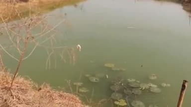 हज़ारीबाग: केजीविके की ओर से प्रखंड क्षेत्र कटकमसांडी में किसानों को मछली पालन के लिए किया जा रहा प्रेरित