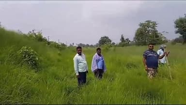 सुरसंड: पुपरी में ठप हुई विद्युत आपूर्ति सेवा को लगातार प्रयास के बाद विभागीय टीम ने कराई बहाल