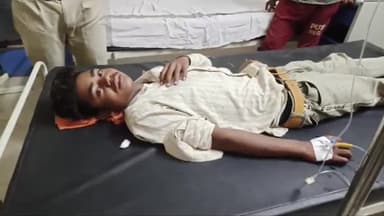 बीना: कटरा मंदिर के पास 18 वर्षीय युवक को सांप ने काटा, गंभीर हालत में सिविल अस्पताल में कराया गया भर्ती