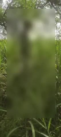 कवर्धा: खैलटुकरी में खेत में बबूल के पेड़ पर मिला गांव के ही एक युवक का फांसी के फंदे पर लटका हुआ शव, गांव में फैली सनसनी