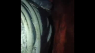 गोपालगंज: मंगलपुर पुल के समीप से पुलिस ने 13 क्विंटल बिजली के तार को चोरी कर लेकर जा रहे एक युवक को किया गिरफ्तार। पिकअप जब्त।