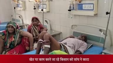 पीलीभीत: ग्राम जगदीशपुर में खेत का कार्य करने जा रहे किसान को सांप ने काटा, उपचार के लिए मेडिकल कॉलेज में भर्ती कराया गया