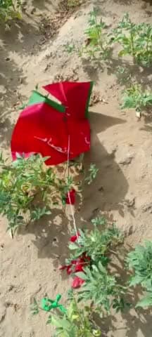 रावला: 22 KD में एक किसान के खेत में मिले गुब्बारे व पीटीआई लिखा हुआ झंडा, जांच में जुटी सुरक्षा एजेंसी