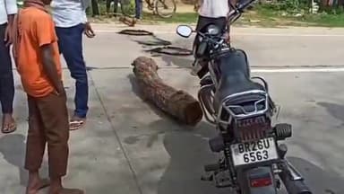 तिलौथू: बाइक से हुई दुर्घटना में मौत के बाद अमझोर पुलिस द्वारा अज्ञात पर की गई प्राथमिकी दर्ज।