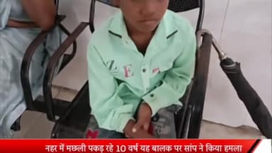 ओबरा: चोपन थाना क्षेत्र के सलखन में मछली पकड़ने के दौरान 10 वर्षीय बालक को सांप ने काटा, परिजन लेकर पहुंचे हॉस्पिटल