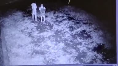 ਸੁਲਤਾਨਪੁਰ ਲੋਧੀ: ਟਿੱਬਾ ਦੀ ਦਾਣਾ ਮੰਡੀ ਨੇੜਿਓਂ ਆੜਤੀ ਦੇ ਗੋਦਾਮ ਵਿੱਚੋਂ ਚੋਰਾਂ ਨੇ ਕੀਤੀ ਚੋਰੀ, ਵਾਰਦਾਤ CCTV 'ਚ ਹੋਈ ਕੈਦ