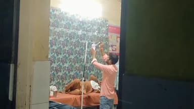 इकौना: इकौना बाजार स्थित घर में काम कर रही महिला को जहरीले सांप ने काटा, इकौना सीएचसी में कराया गया भर्ती