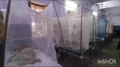 लाडपुरा: शहर में डेंगू एव स्क्रबटाइफस के भर्ती रोगियों को मच्छर से बचाने के लिए अस्पताल के वार्डों में लगाई मच्छरदानी