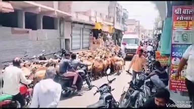 सुनेल: अव्यवस्थित खड़े वाहनों की वजह से सुनेल मुख्य बाजार में बनी जाम की स्थिति, जाम में फंसी एम्बुलेंस