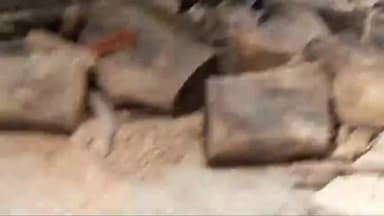 #चित्तौड़ गढ़ 31अगस्त #खेरी_आश्रम वह #गौ_शाल में #राष्ट्रीय_बजरंग_दल के बजरंगियों ने की गौ सेवा वह आश्रम में सफाईस्वच्ता