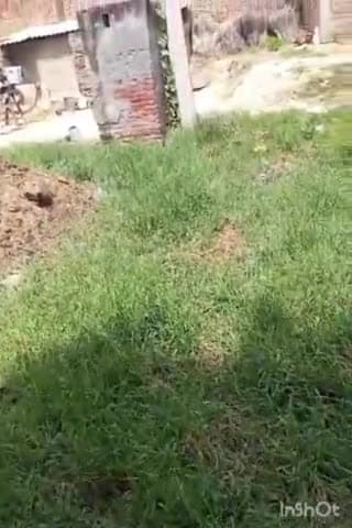 एत्मादपुर: ब्लॉक एत्मादपुर की ग्राम पंचायत मुखवार के गांव गढी टिकैत व भूड़ नगरिया मैं जलभराव से जनता परेशान