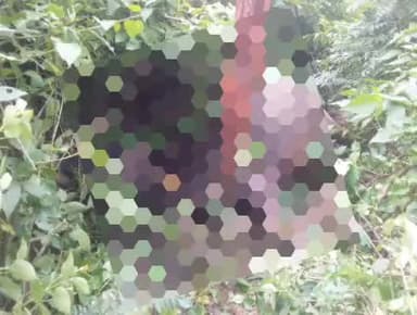 मोरनी: मोरनी के गांव दुधला में करंट लगने से भैस की मौत, मुआवजे की मांग