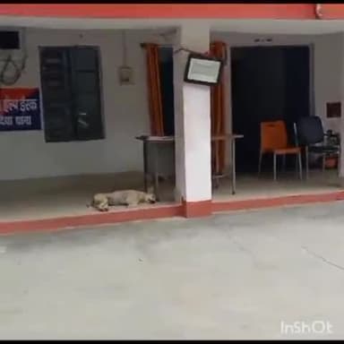 कलेर: महिला को मारपीट कर प्रताड़ित करने का मामला ,मेहंदिया थाने में पति समेत सास ससुर पर दर्ज हुआ प्राथमिकी