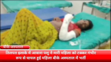 फरीदाबाद: तिलपत इलाके में आवारा पशु ने मारी महिला को टक्कर गंभीर हालत में बीके अस्पताल में कराया गया इलाज के लिए भर्ती