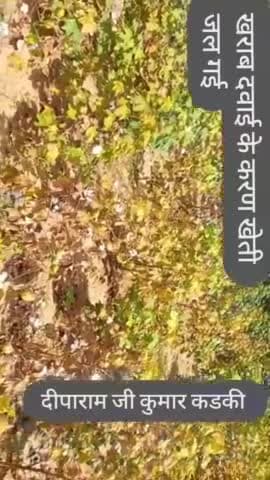 पीसांगन: #love #go #kamyabikiang #maedemenina #beautiful #