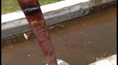 ईसागढ़: श्री कृष्ण क्रांति गौशाला में गायों के साथ हो रहा दुर्व्यवहार बजरंग दल कार्यकर्ताओं ने मीडिया को बताई समस्या