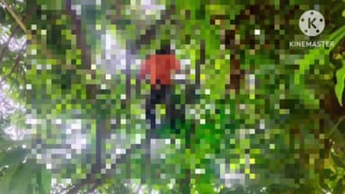 अजयगढ़: दीनदयाल का पुरवा में 22 वर्षीय युवक की पेड़ में लटकती मिली लाश, पुलिस ने पोस्टमार्टम के बाद शव परिजनों को सौंपा