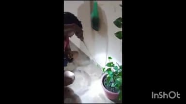 होशंगाबाद नगर: नर्मदापुरम की मंगलमय कॉलोनी में निकला कोबरा प्रजाति का सांप सर्प मित्र ने रेस्क्यू कर पकड़ा