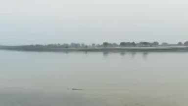 इकौना: बिराहिमपुर में राप्ती नदी में लोगों को दिखा मगरमच्छ, गांव में डर का माहौल