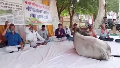 हिण्डोली: नंदी शाला निर्माण की मांग को लेकर 28वें दिन भी एनएच 52 पर जारी रहा धरना, बोर्ड को बर्खास्त करने की उठी मांग