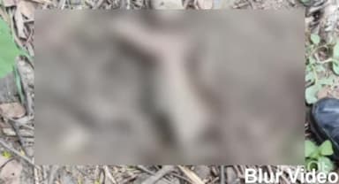 बिजनौर: गांव गंज में कटा मिला पैर गायब हुई बच्ची का नहीं किसी व्यक्ति का है।