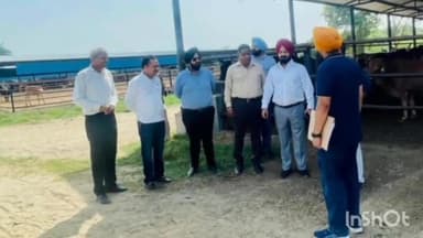 ਪਟਿਆਲਾ: ਸ਼ਹਿਰ ਨੂੰ ਜਲਦ ਮਿਲੇਗੀ ਅਵਾਰਾ ਪਸ਼ੂਆਂ ਦੀ ਸਮੱਸਿਆ ਤੋਂ ਨਿਜਾਤ: ਵਿਧਾਇਕ ਅਜੀਤ ਪਾਲ ਸਿੰਘ ਕੋਹਲੀ