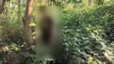 शाहबाद: रामपुर हृदय में अज्ञात कारणों के चलते युवक ने गांव के बाहर एक बाग में खुद को लगाई फांसी मौके पर पहुंची पुलिस