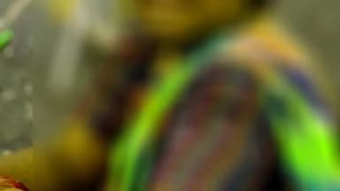 पिंड्रा: सिंधोरा थाना क्षेत्र के एक गांव की रहने वाली महिला ने 6 लोगों के खिलाफ दर्ज कराया छेड़खानी और मारपीट का मुकदमा