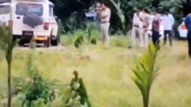 गाडरवारा: सलैया मे अपने खेत में गांजे के पौधे लगाकर बेचने वाले आरोपी को पुलिस ने किया गिरफ्तार