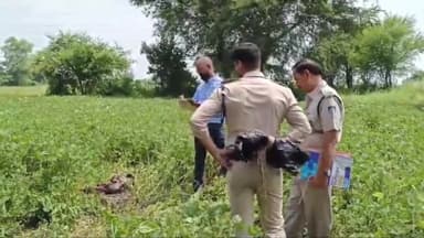 बीना: मेवली रोड वेयरहाउस के पीछे खेत में मिला अज्ञात व्यक्ति का कई दिन पुराना शव, मौके पर पहुंची एफएसएल टीम