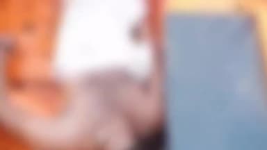 2 युवक नाले में डूबने का मामला; 2.5 किमी दूर खर्री में मिला दूसरे युवक का शव, सुबह 3 किमी दूर मिला था एक युवक का शव