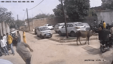 सिंगरौली: सिद्धि खुर्द निवासी व्यक्ति की मोटरसाइकिल मिश्रा पाली क्लीनिक से हुई चोरी चोरी की वारदात सीसीटीवी फुटेज में हुई कैद