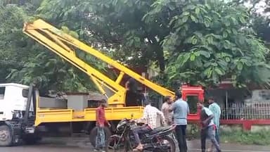होशंगाबाद नगर: नर्मदापुरम शहर के कलेक्ट्रेट गेट पोस्ट ऑफिस के सामने लगे पेड़ों को आज बिजली विभाग द्वारा काटा गया