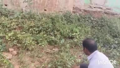 गुना: जिले में बारिश न होने से सूखने की कगार पर पहुंची फसले, खेतों में पड़ी दरारें, किसानों ने सरकार से लगाई मदद की गुहार