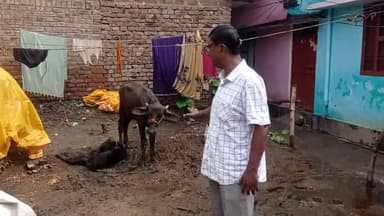 दूध उत्पादकों के बीच पहुंच उनकी नारकीय जीवन और पीड़ा,तथा दर्द दुर करने की मांग सरकार से करते क्यामुद्दीन अंसारी.