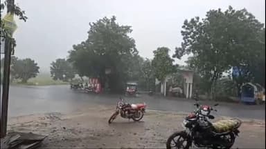 पिपलोदा: ग्राम हतनारा के आसपास ग्रामीण क्षेत्र में बारिश से किसानों के चेहरे पर आए खुशी