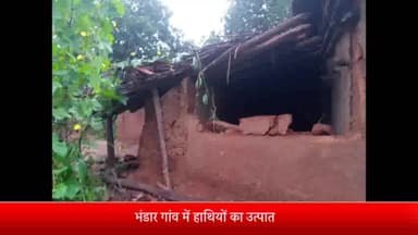 दुधि: भंडार गांव में हाथियों ने खपरैल घर सहित हैंडपंप को तोड़ा, मवेशियों की भी हुई मौत