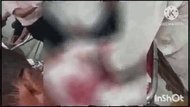 कादीपुर: अखण्डनगर क्षेत्र के राहुलनगर में अनियंत्रित मोटरसाइकिल ट्रैक्टर से टकरायी, दो की मौत व दो घायलों का इलाज जारी