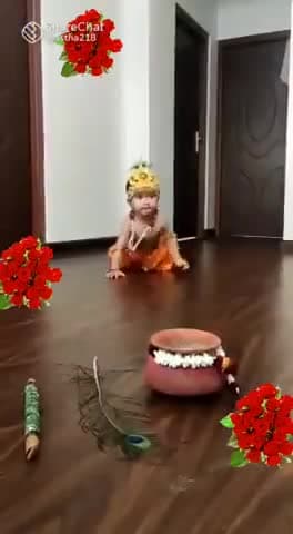 आज जन्माष्टमी महोत्सव मनाया जा रहा हैं।