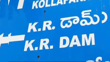 రాపురు: కండలేరు జలాశయంలో 10 నుంచి 15 కిలోల బరువు ఉన్న చేపలు లభ్యం