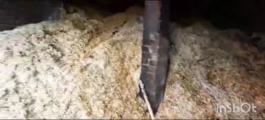 नुआंव: कुढ़नी गांव में अज्ञात कारण से एक घर में लगी आग दो बकरियां झुलसी एक की आग में जलने से हुई मौत