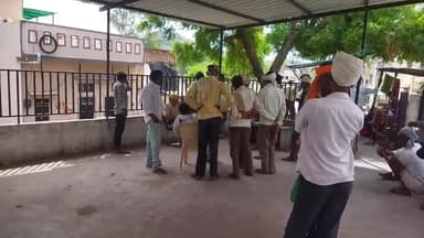 सराड़ा: पाल सराडा में एक युवति ने पेड़ पर गले मे फँदा लगा की आत्महत्या