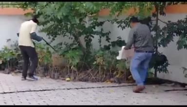 इटावा: भाजपा कार्यालय पर घायल अवस्था में मिला लुप्तप्राय प्रजाति का गिद्ध, वन विभाग की टीम ने रेस्क्यू कर उपचार के बाद छोड़ा