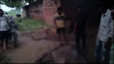 शिकोहाबाद: गाँव कुतक पुर में आकाशीय बिजली गिरने से तीन भैस की मौत किसान को भारी नुकसान